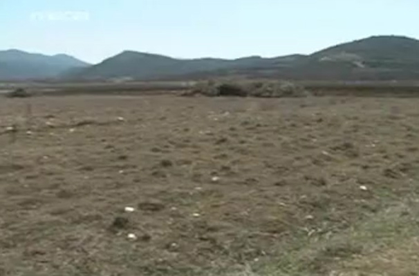 Η ανεργία και η κρίση στρέφουν νέους και ανέργους στις αγροτικές καλλιέργειες