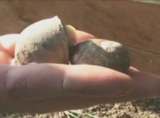 Επιστροφή στο χωράφι