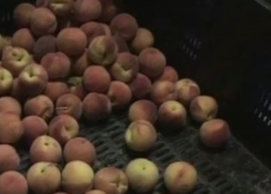 Στην αγορά της ΕΕ θα προωθηθούν τα ελληνικά αγροτικά προϊόντα