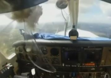 Απίστευτη ζημιά από σύγκρουση αεροπλάνου με πουλί