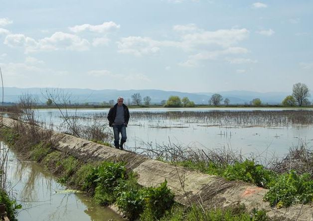 Σε απόγνωση αγρότες και κτηνοτρόφοι στις Σέρρες