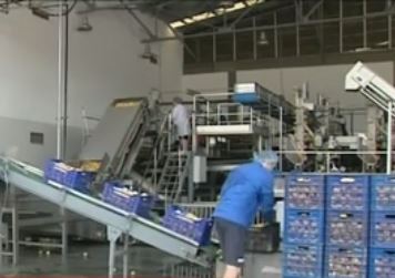 Δέσμευση από το ΥΠΕΞ για αποζημιώσεις παραγωγών μετά το εμπάργκο