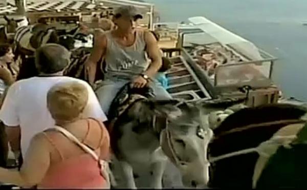 Λέρος: Προσεχώς με αριθμό κυκλοφορίας και ασφάλεια τα γαϊδούρια