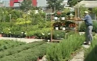 «Μοντέρνες» καλλιέργειες για ανήσυχους νέους αγρότες