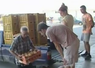 Σε απόγνωση οι ροδακινοπαραγωγοί της Βορείου Ελλάδος