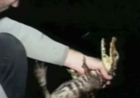 Στη Κρήτη ο «γάλλος κροκοδειλάκιας» Ολιβιέ Μπεχρά για να αιχμαλωτίσει τον Σήφη