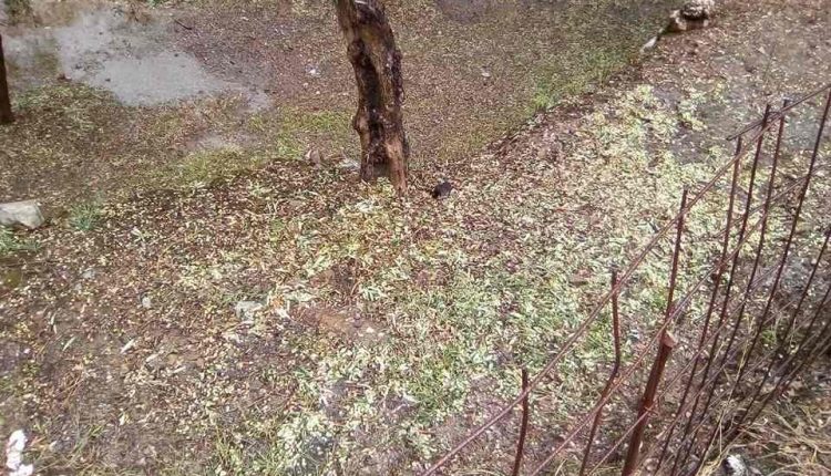 Ηράκλειο: Τεράστιες καταστροφές από το χαλάζι