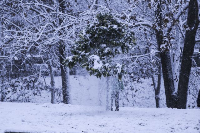 Σε ποιες περιοχές θα μείνουν κλειστά τα σχολεία την Τρίτη