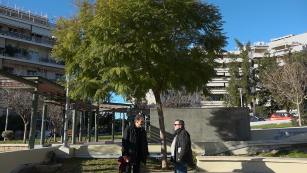 Σινεμά στη Σέντρα… «Κάτω από ένα δέντρο»