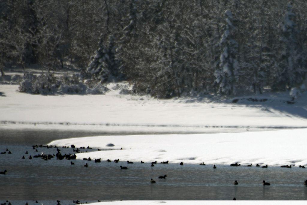 Μαγικό τοπίο στην χιονισμένη λίμνη Πλαστήρα