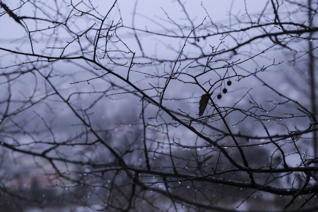 Χιόνια και στην Κρήτη – Κλειστά τα σχολεία στο Λασίθι