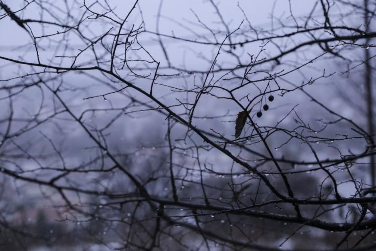 Χιόνια και στην Κρήτη – Κλειστά τα σχολεία στο Λασίθι