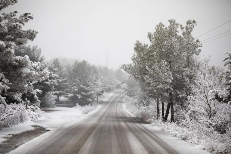 Χιόνια στην Εύβοια : Χωρίς ρεύμα χωριά λόγω «Σοφίας»