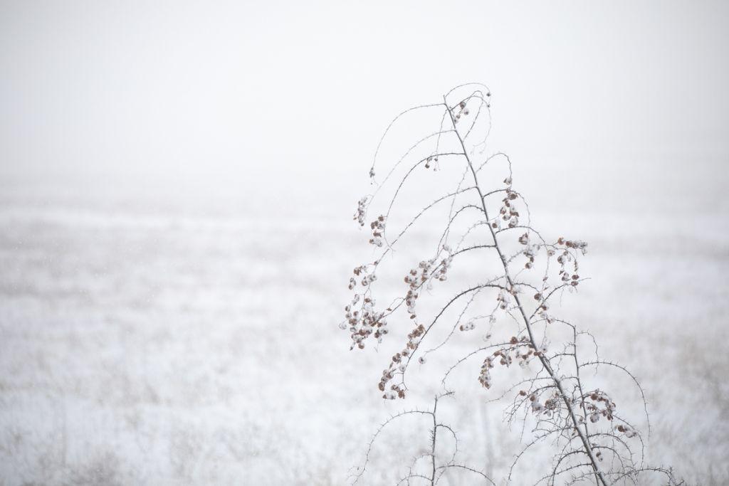 Χιόνια στην Ορεινή Ναυπακτία: Επιχείρηση απεγκλωβισμού εξαμελούς οικογένειας