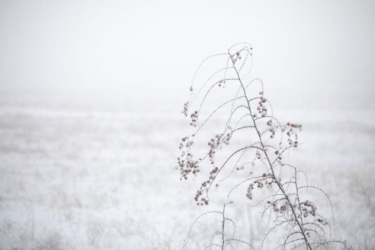Χιόνια στην Ορεινή Ναυπακτία: Επιχείρηση απεγκλωβισμού εξαμελούς οικογένειας