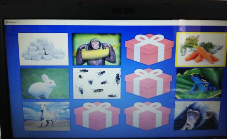 Εφαρμογή δημιουργεί ηλεκτρονικά παιχνίδια για τυφλά παιδιά