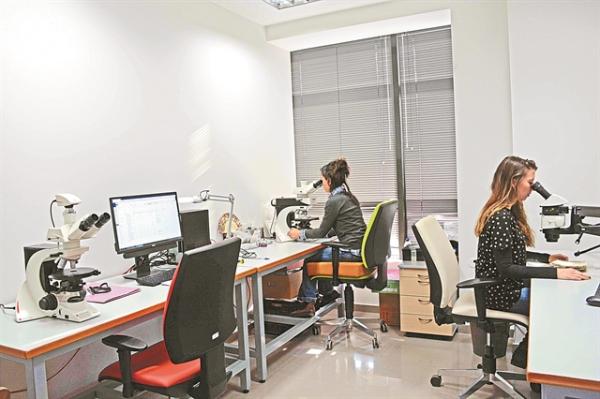 Πώς τρέφονταν οι άνθρωποι στην αρχαία Ευρώπη