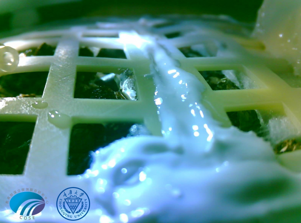 Πέθαναν λόγω του κρύου τα πρώτα κινεζικά φυτά που βλάστησαν στο φεγγάρι