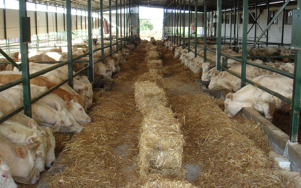 Η κατάσταση στην κτηνοτροφία και στα δημοτικά σφαγεία