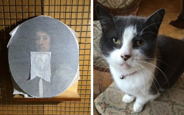 Γάτα κατέστρεψε σπάνιο έργο τέχνης του 17ου αιώνα