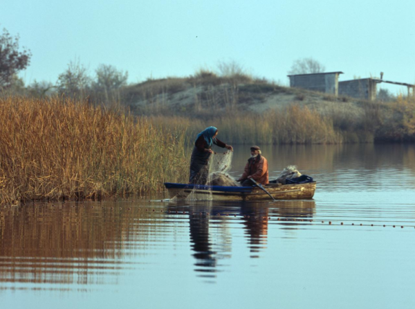 Λάρισα: Στις εκβολές του Πηνειού