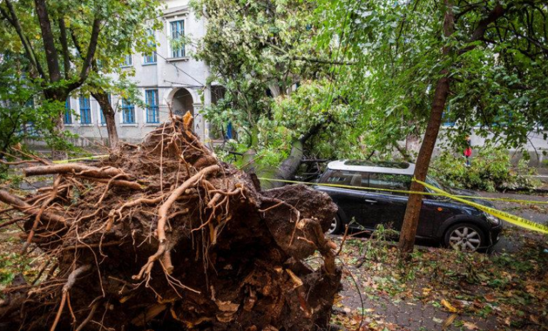 Ρουμανία: Σφοδρή κακοκαιρία έπληξε τη χώρα