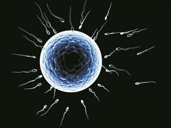 Κατάψυξη ωαρίων: «Παγώνουν» το βιολογικό ρολόι τους