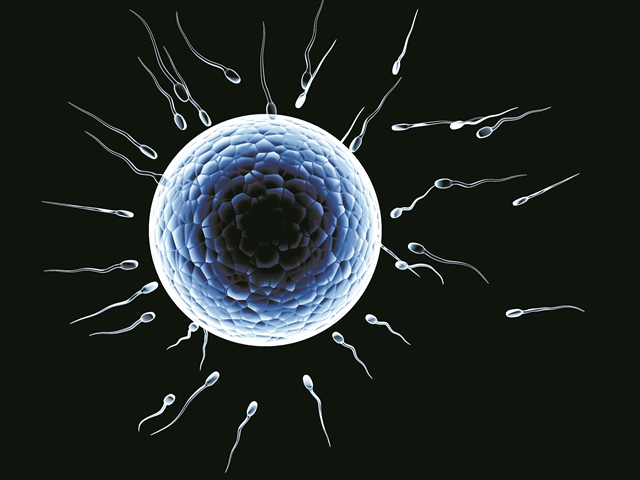 Κατάψυξη ωαρίων: «Παγώνουν» το βιολογικό ρολόι τους