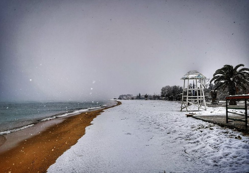 Χιονόπτωση στην Χαλκιδική - Το έστρωσε και στις παραλίες