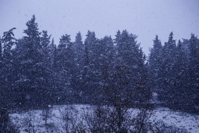 Ολονύχτια μάχη για τη διάσωση οκτώ ανθρώπων στον Χορτιάτη