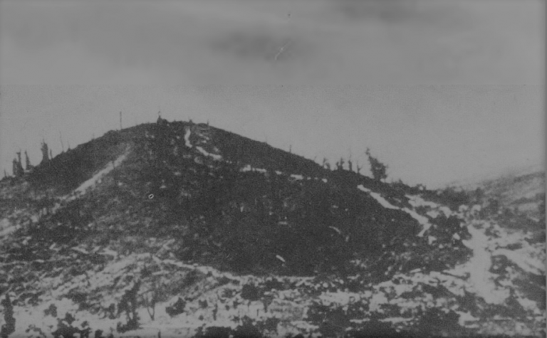 Ύψωμα 731: Αγώνας μέχρις εσχάτων