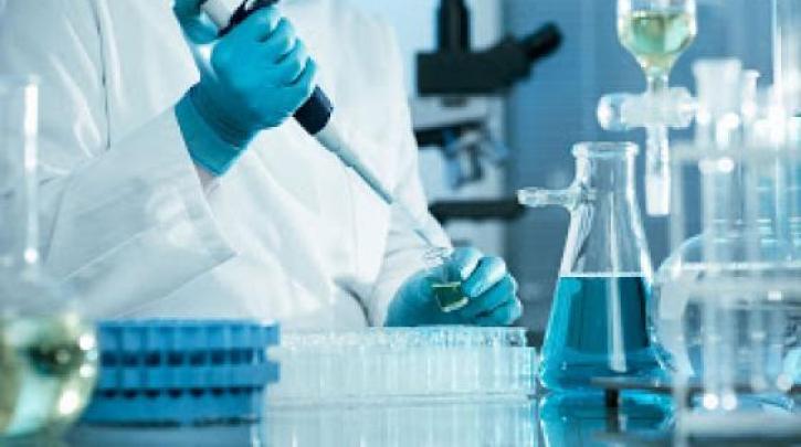 Έξι Έλληνες μεταξύ των ερευνητών που επιχορηγούνται από το Συμβούλιο Έρευνας της ΕΕ