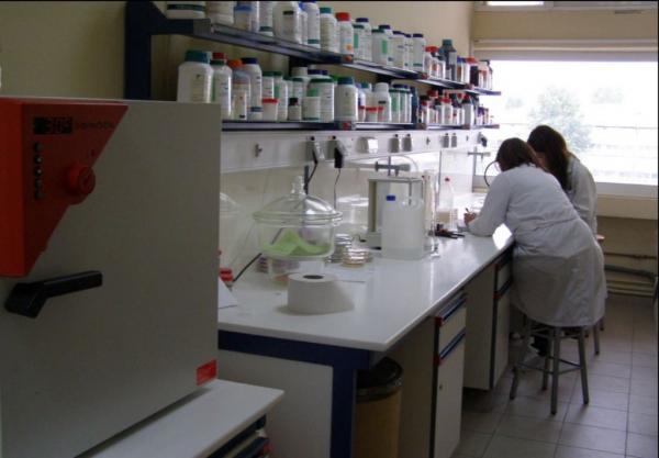 Καλλιέργεια φαρμακευτικών μανιταριών από το ΤΕΙ Θεσσαλίας