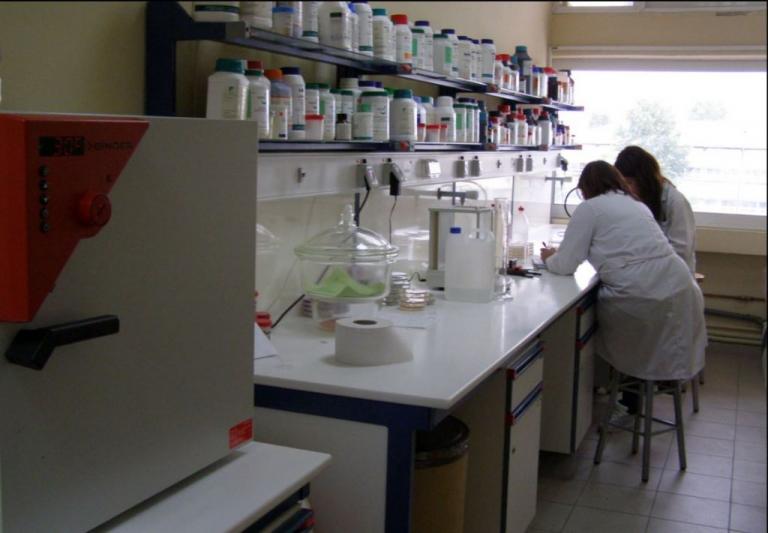 Καλλιέργεια φαρμακευτικών μανιταριών από το ΤΕΙ Θεσσαλίας