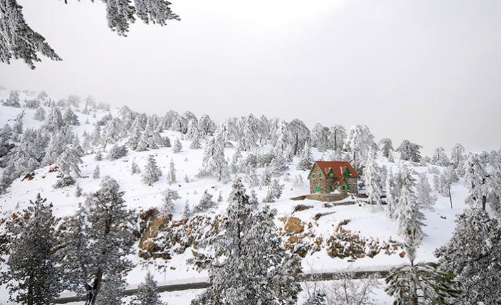 Αίσιο τέλος για τους προσκόπους που αγνοούνταν στην Κύπρο