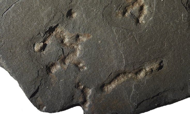 Απολιθώματα αποκαλύπτουν ζωή στη γη πριν 2,1 δισεκατομμύρια χρόνια