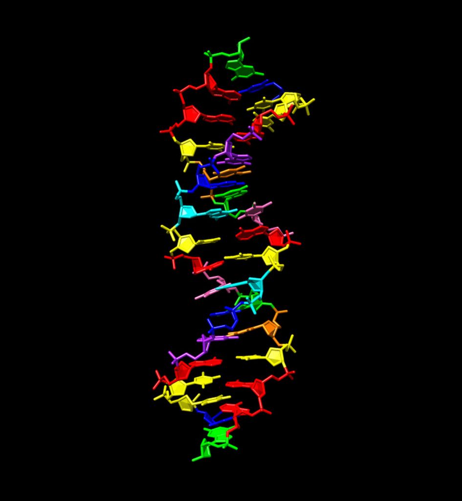 Δημιουργήθηκε για πρώτη φορά DNA με οκτώ «γράμματα» του γενετικού αλφαβήτου