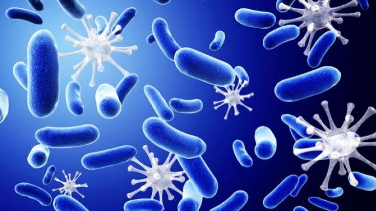 Ανακαλύφθηκαν 2.000 άγνωστα βακτήρια στο ανθρώπινο έντερο