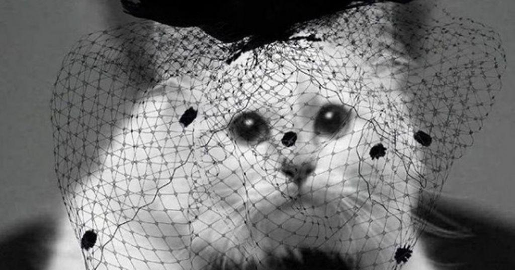 Choupette: Όταν η φιλοζωία γίνεται ειδωλολατρία