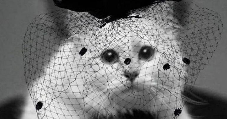 Choupette: Όταν η φιλοζωία γίνεται ειδωλολατρία