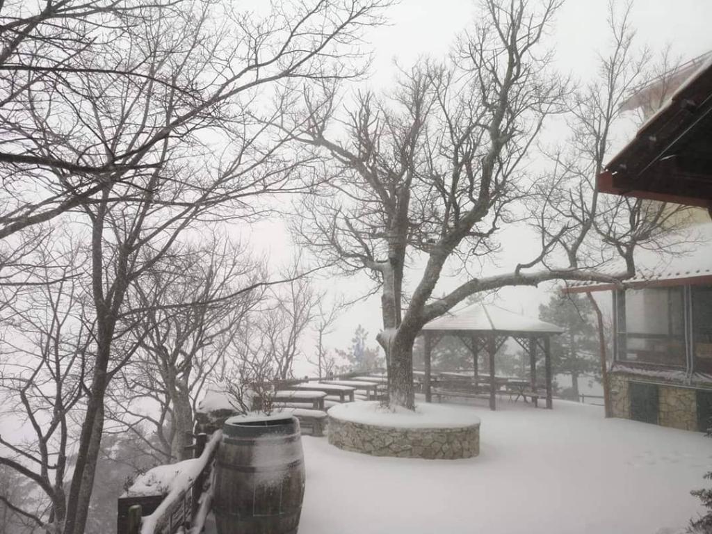 Διακοπή κυκλοφορίας σε Πάρνηθα λόγω χιονόπτωσης
