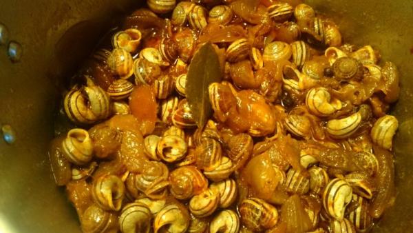 Καραβόλοι (σαλιγκάρια στιφάδο)