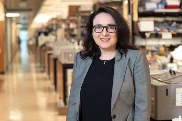 Νέο «όπλο» εναντίον της σκλήρυνσης κατά πλάκας