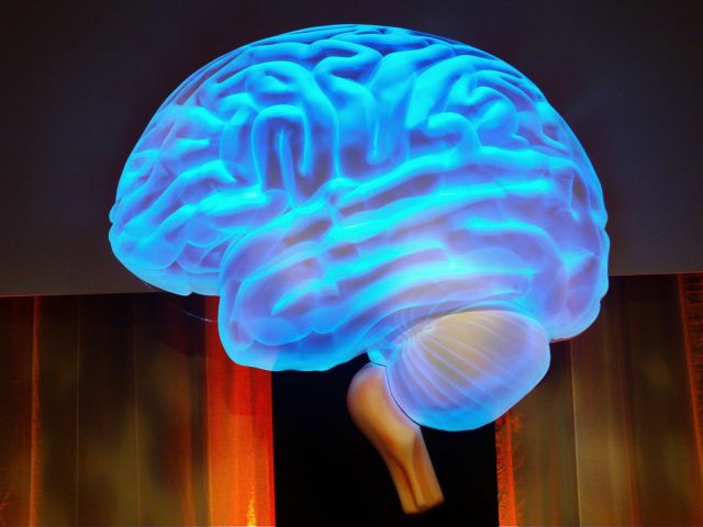 Επιστήμονες βρήκαν νευρωνικό αποτύπωμα της συνείδησης στον εγκέφαλο