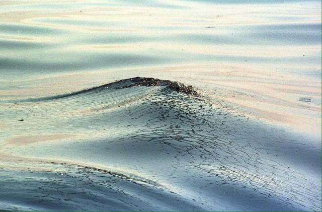 Υψηλό το κόστος του τουρισμού στο περιβάλλον