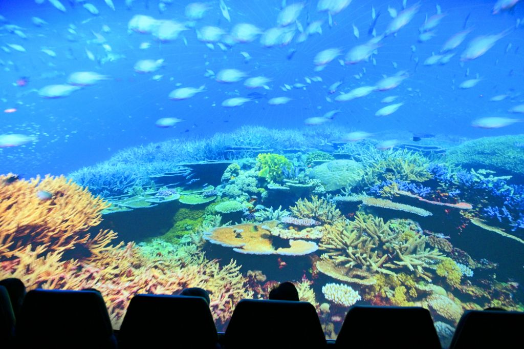 «Ωκεανοί: Ο Γαλάζιος Πλανήτης μας», νέα παραγωγή του BBC Earth στο Πλανητάριο