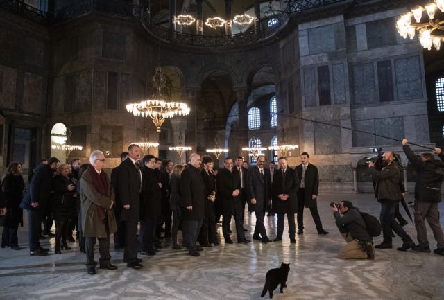 Μια μαύρη γάτα… υποδέχθηκε τον Τσίπρα στην Αγιά Σοφιά