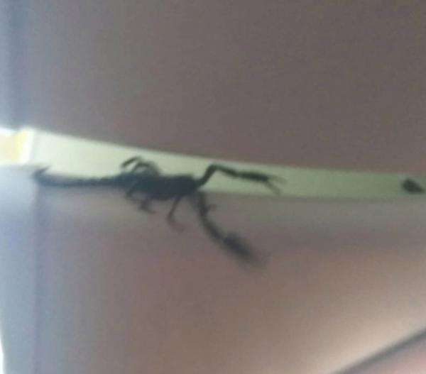 Η δυσάρεστη έκπληξη για επιβάτες αεροπλάνου