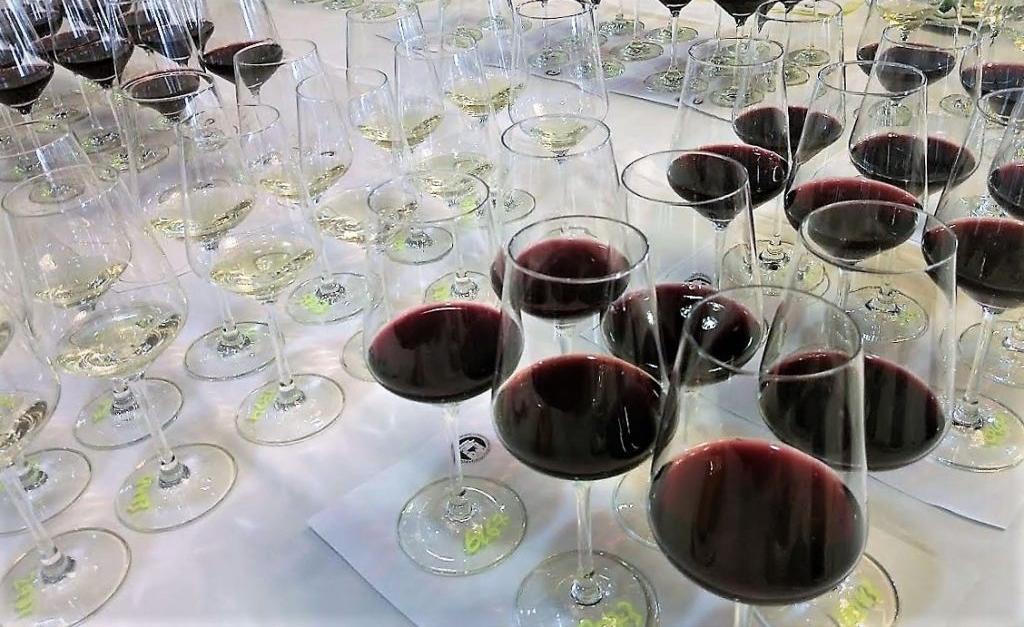 Καλά νέα από τον Διεθνή Διαγωνισμό Οίνου & Αποσταγμάτων Αμπελοοινικής Προέλευσης Θεσσαλονίκης 2019