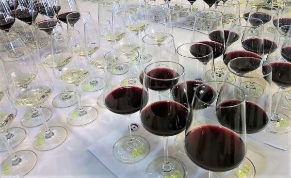 Καλά νέα από τον Διεθνή Διαγωνισμό Οίνου & Αποσταγμάτων Αμπελοοινικής Προέλευσης Θεσσαλονίκης 2019